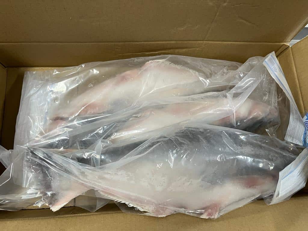 Carton Panga