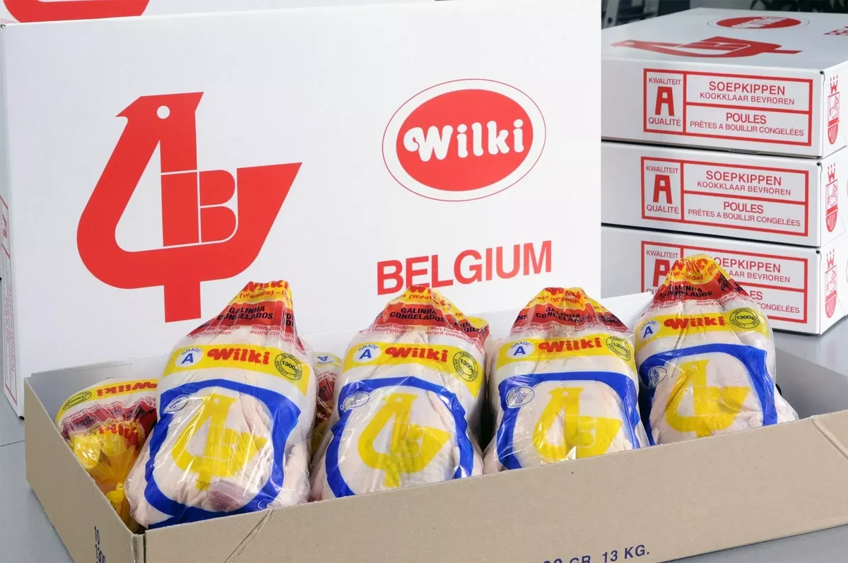 Carton Wilki